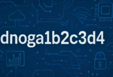 Dnoga1b2c3d4