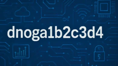 Dnoga1b2c3d4