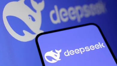 Deepseekplay com